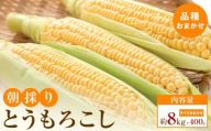 【5月31日までの期間限定価格!】朝採り とうもろこし(品種おまかせ)約8kg+400g