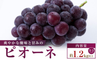 【小分けパック入り】パクパク食べられる・ピオーネパック　約1.2kg以上
