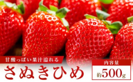 【食べきりサイズ】さぬきひめいちごDXパック　約500g