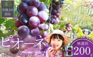 ぶどう 【先行予約】 ぶどうの粒 無選別（200g）[2026年産] 【ぶどう ブドウ 葡萄 ピオーネ ぴおーね ぶどうの粒 粒 果物 くだもの クダモノ フルーツ 果実 農薬不使用 化学肥料不使用 有機JAS認証 無選別 おやつ デザート 返礼品】