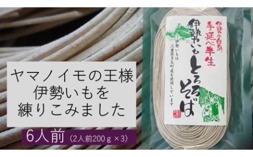 GF-21　伊勢いも入り手延べ半生とろろそば 2545795 - 三重県多気町
