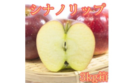 シナノリップ 3kg箱 [8月中旬より発送] 長野県 南信州 高森町 りんご