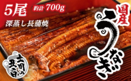 【 7月26日 土用 丑の日 対応 】 国産 うなぎ 蒲焼 5尾 約 140g ～ 150g 鰻 小分け 冷凍 たれ付き 漁協 オリジナル 深蒸し 人気 沼津市  静岡 静岡県
