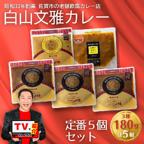 白山文雅カレー 定番5個セット：B250-032 2546687 - 佐賀県佐賀市