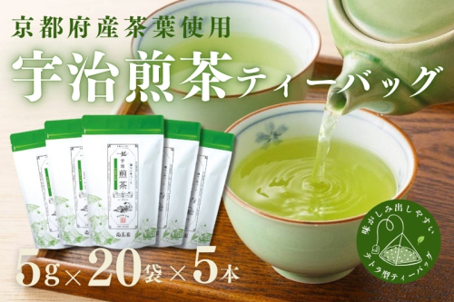 宇治・煎茶ティーバッグ 5g×20個×5袋〈お茶 茶 煎茶 緑茶 かぶせ茶 飲料 ティーバッグ 煎茶ティーバッグ ティーパック 宇治茶 日本茶 加工食品〉 2546812 - 京都府宇治田原町
