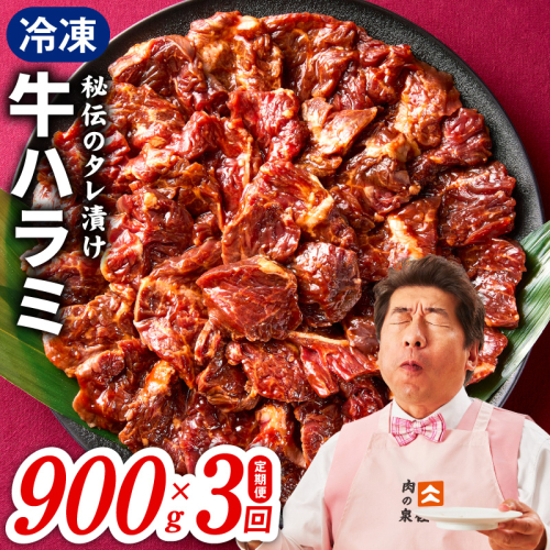 【定期便】牛ハラミ肉 900g×全3回【小分け 300g×3P 秘伝の赤タレ 味付き 焼肉 訳あり サイズ不揃い 毎月配送コース】 099Z522 2547008 - 大阪府泉佐野市