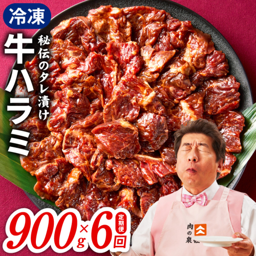 【定期便】牛ハラミ肉 900g×全6回【小分け 300g×3P 秘伝の赤タレ 味付き 焼肉 訳あり サイズ不揃い 毎月配送コース】 099Z523 2547009 - 大阪府泉佐野市