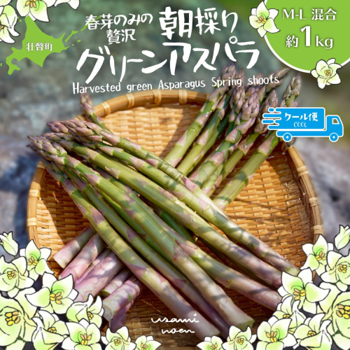 【2026年予約】朝採りグリーンアスパラ（春芽）M-L混合 約1kg 北海道壮瞥町産 SBTAJ032 2547120 - 北海道壮瞥町