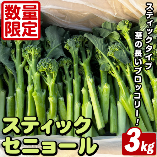 ＜先行予約受付中！2026年5月以降順次発送予定＞ スティックセニョール (3kg) 国産 鹿児島県産 阿久根市産 ブロッコリー 野菜 サラダ お弁当 ピクニック 産地直送 茎ブロッコリー 肉巻き 数量限定 期間限定 【うとさんち】akn067-26 2547138 - 鹿児島県阿久根市