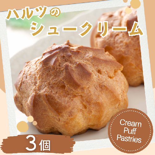 ハルツのシュークリーム 3個 創業40年 スイーツ 洋菓子 お菓子 おやつ デザート 小分け 個包装 ご褒美 お取り寄せ 人気 冷凍配送 送料無料 佐賀県 佐賀市：A070-003 2547222 - 佐賀県佐賀市