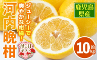 i798-m 【母の日ギフト】河内晩柑 (約10kg) 鹿児島 国産 柑橘 果物 果実 フルーツ 蜜柑 みかん 母の日 プレゼント ギフト 贈答 【江崎果樹園】