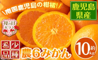 i593-m 【母の日ギフト】農6みかん(約10kg) 果物 フルーツ 柑橘 国産 鹿児島県産 みかん 蜜柑 母の日 プレゼント ギフト 贈答 【江崎果樹園】
