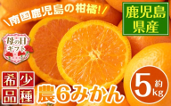 i585-m 【母の日ギフト】農6みかん(約5kg) 果物 フルーツ 柑橘 国産 鹿児島県産 みかん 蜜柑 母の日 プレゼント ギフト 贈答 【江崎果樹園】