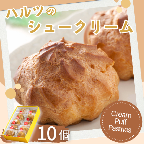 ハルツのシュークリーム 10個 創業40年 スイーツ 洋菓子 お菓子 おやつ デザート 小分け 個包装 ご褒美 お取り寄せ 人気 冷凍配送 送料無料 佐賀県 佐賀市：B120-073 2547265 - 佐賀県佐賀市