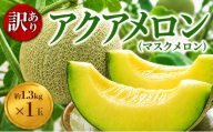 訳あり 千葉 アクアメロン 約1.3kg × 1玉 メロン めろん meron マスクメロン ますくめろん 果物 くだもの フルーツ ふるーつ サイズ 大玉 甘い 温室 温室メロン ジューシー 果肉 デザート おやつ 高糖度 アールスメロン 戸田メロン 千葉 東金