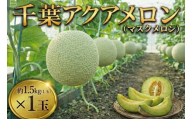 千葉アクアメロン 約1.5kg (L玉)× 1玉 マスクメロン 大玉 メロン めろん 大玉メロン フルーツ くだもの 蜜 果汁 高糖度 ゴールド 果皮 温室栽培 贈答 用 ギフト 果物 お取り寄せ 贅沢 戸田メロン 千葉県 東金