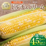※送付内容が選べる※【令和８年発送】SUNちゃん農園産「ドルチェドリーム（サイズ指定不可）」 【 とうもろこし ドルチェドリーム トウモロコシ 令和8年発送 数量限定 期間限定 】