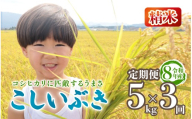 令和8年産 こしいぶき 定期便 5kg 3回 15kg 新潟 新米 3か月 先行予約 越後の新しい息吹 コシヒカリ の遺伝子を引き継ぐ 米 おこめ お米 ご飯 ごはん オニギリ お弁当 kome 送料無料 数量限定 農家直送 産地直送 国産 川瀬農園 四代目 悠助 新潟 新発田 kwsKI003_202609