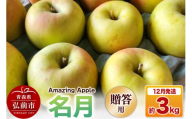 【寄附金額見直しました】【26年12月発送】りんご 名月【贈答用】約3kg [りんご 名月 3kg アップル おいしい お歳暮 お中元 ギフト プレゼント 果実 果物 贈り物 贈答用 美味 林檎 青森県 弘前市]