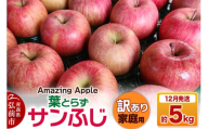 【寄附金額見直しました】【26年12月発送】りんご 葉とらずサンふじ【訳あり】家庭用 約5kg [りんご サンふじ 葉とらず ふじ 訳あり 家庭用 5kg アップル おいしい 果実 果物 取ら 赤色 美味 葉っぱ 林檎 青森県 弘前市]