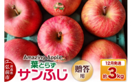 【寄附金額見直しました】【26年12月発送】りんご 葉とらずサンふじ【贈答用】約3kg [りんご サンふじ 葉とらず ふじ 3kg お歳暮 お中元 ギフト 贈り物 贈答用 アップル おいしい 果実 果物 赤色 美味 葉っぱ 林檎 青森県 弘前市]