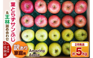 【寄附金額見直しました】【27年2月発送】りんご 葉とらずサンふじ＆王林 詰め合わせ【訳あり】家庭用 約5kg [りんご サンふじ 葉とらず ふじ 王林 訳あり 家庭用 5kg 詰め合わせ セット アップル おいしい 果実 果物 赤色 黄色 美味 葉っぱ 林檎 青森県 弘前市]