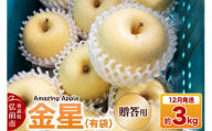 【寄附金額見直しました】【26年12月発送】りんご 金星（有袋）【贈答用】約3kg [りんご 金星 有袋 3kg お歳暮 お中元 ギフト 贈り物 贈答用 アップル おいしい 果実 果物 黄色 美味 林檎 青森県 弘前市]