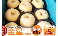 【寄附金額見直しました】【26年12月発送】りんご 金星（有袋）【訳あり】家庭用 約5kg [りんご 金星 有袋 訳あり 家庭用 5kg アップル おいしい 果実 果物 黄色 美味 林檎 青森県 弘前市]