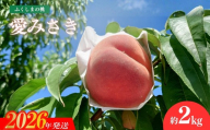 No.3234 福島のもも「愛みさき」 約2kg【2026年発送　先行予約】