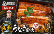 完全無投薬 うなぎ蒲焼 定期便 計10尾 ( 120g × 5尾 × 2回 ) 国産 鰻 厳選 無薬 うなぎ 蒲焼き かば焼き 人気 特製タレ 鰻蒲焼き 湯煎 簡単調理 タレ 山椒 セット 旨味 風味 うな重 土用の丑の日 夏バテ対策 ギフト 贈り物 贈答 お取り寄せ グルメ 高級 うなぎ料理 こだわり うな丼 ひつまぶし 冷凍 高知県産 ランキング おすすめ 西岡養鰻 安芸市 高知県