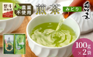 農薬不使用！煎茶 ギフト NO.34（みどり100g×2 計200g） 常磐園 みどり こうぎょく 日本茶 緑茶 煎茶 茶葉 お茶 白川茶 美濃白川茶 農薬不使用栽培茶 一番茶 春摘み 大容量 岐阜県 東白川村 お取り寄せ 贈答用 プレゼント 母の日 ギフトセット