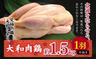 大和肉鶏 中抜き 約1.5kg 1羽 | 大和かしわ 鶏 肉 にく かしわ 鶏肉 とり 奈良県 大淀町