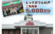 ビッグボウル杉戸 ご利用券 5千円分｜ボーリング アクティブ スポーツ 遊び 東武動物公園駅 杉戸 埼玉 [0696]