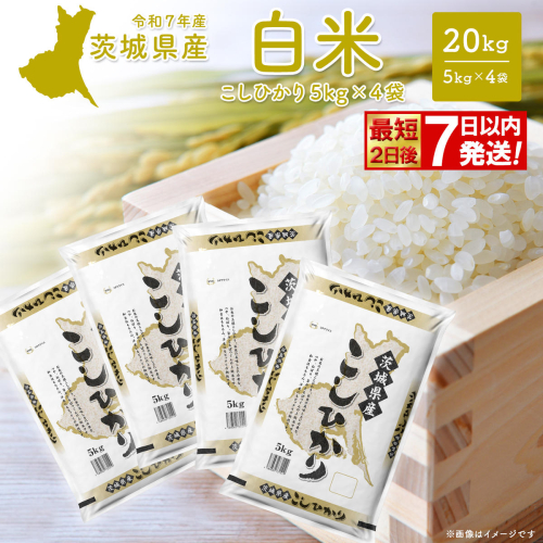 こしひかり 20kg (5kg×4袋) 最短2日後発送【令和7年産/白米】茨城県産 米 小分け 2025年産 スピード便 コシヒカリ K2704 2548299 - 茨城県境町
