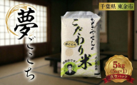 精白米 夢ごこち 5kg 米 お米 kome コメ おこめ 精米 コシヒカリ を超える おいしい おすすめ ライス 肉 にあう 魚 にあう okome おかず にあう おにぎり おむすび おにぎり 5キロ 精米 ランチ ディナー 晩御飯 ライス ライスファームもとごや 千葉県 東金 東金市
