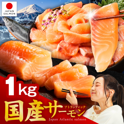 国産アトランティックサーモン 1kg ポーション【小分け 真空パック 訳あり サイズ不揃い 刺身 海鮮丼 さーもん 鮭 さけ シャケ しゃけ 冷凍】 nbj0011 2548546 - 大阪府泉佐野市