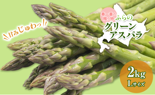 【令和8年産】アスパラガス グリーンアスパラ 2kg Lサイズ アスパラ 野菜 北海道 上富良野町 ふらの農業協同組合 2548555 - 北海道上富良野町