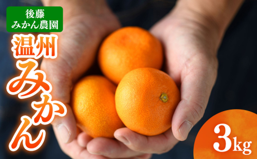 後藤みかん農園 温州みかん 3kg 宮川 片山 果物 くだもの 旬のフルーツ 旬の果物 季節のフルーツ 季節の果物 柑橘 柑橘類 静岡 浜松市 2548563 - 静岡県浜松市