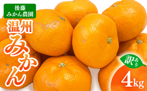 【 訳あり 】 後藤みかん農園 温州みかん 4kg 宮川 片山 果物 くだもの 旬のフルーツ 旬の果物 季節のフルーツ 季節の果物 柑橘 柑橘類 キズ 不揃い ご家庭用 静岡 浜松市 2548566 - 静岡県浜松市
