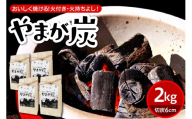 やまが炭2.0kg 米沢産 なら炭 500g×4袋 炭 黒炭 切炭 アウトドア キャンプ バーベキュー レジャー 持ち運び ならの木 ナラ グッドデザイン賞受賞 山形県 米沢市
