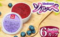 ブルーベリーソルベ(シャーベット) 90ml×6カップ[011-a1] | ブルーベリー アイス フルーツ シャーベット ソルベ 果実 デザート ひんやり 果物 長野県産 長野県 信州 伊那市