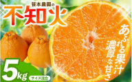 【数量限定】不知火 笹本農園の不知火 約5kg サイズ混合 【2027年3月上旬頃〜順次発送】  不知火デコポン みかん ミカン 蜜柑 しらぬい 柑橘 フルーツ 果物 くだもの 甘い 旬 人気 果汁 濃厚 産地直送 国産 お取り寄せ 期間限定 三重県 熊野市【ssmt0001】