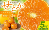 【数量限定】せとか 笹本農園のせとか 約5kg M～2Lサイズ混合 【2027年3月上旬頃〜順次発送】 みかん ミカン 蜜柑 柑橘 フルーツ 果物 くだもの 甘い 旬 人気 果汁 濃厚 産地直送 国産 お取り寄せ 期間限定 三重県 熊野市【ssmt0002】