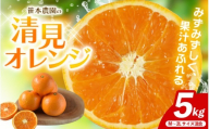 【数量限定】笹本農園の清見オレンジ 約5kg M～2Lサイズ混合 【2027年4月上旬頃〜順次発送】 みかん ミカン 蜜柑 清見 オレンジ 柑橘 フルーツ 果物 くだもの 甘い 旬 人気 果汁 濃厚 産地直送 国産 お取り寄せ 期間限定 三重県 熊野市【ssmt0003】