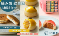 [鼓月]摘み果銘菓撰3種詰合せ|京都 和菓子 有名店 人気セット 和菓子[ 京都 老舗 和菓子 千寿せんべい 有名店 人気 おすすめ お菓子 スイーツ お取り寄せ 通販 ギフト プレゼント 贈答 送料無料 ふるさと納税 ]