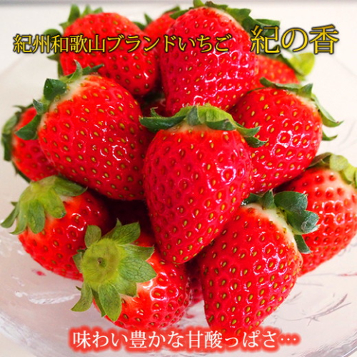 【先行予約】 紀州和歌山産 ブランド いちご 「紀の香」約250g×4パック（計約1kg） 2548943 - 和歌山県美浜町