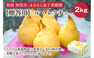【2026年先行予約】【贈答用】ル・レクチェ 2kg（5〜7玉）《12月上旬から順次発送》 果物 梨 洋梨 西洋梨 フルーツ 冬の味覚  デザート 産地直送 加茂市 まるさん金子果樹園