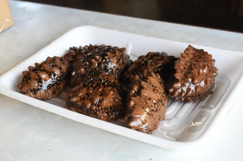 北海道浦河産『活なまこ』1kg※不在日・日付指定対応不可※[06-1591] 2548975 - 北海道浦河町