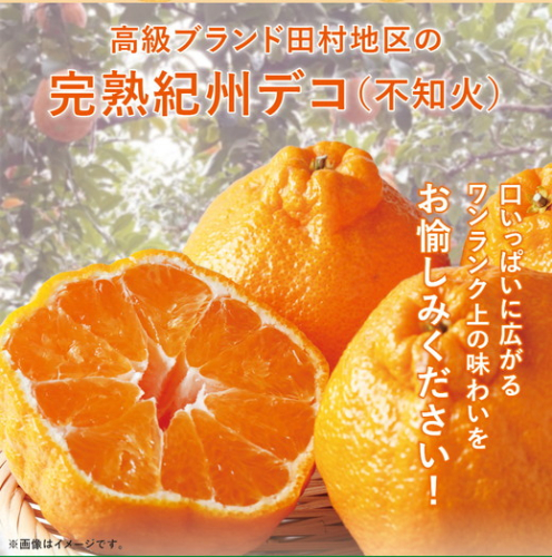 【先行予約】高級ブランド紀州和歌山 田村地区の完熟 紀州デコ（不知火）約8kg 2548976 - 和歌山県美浜町