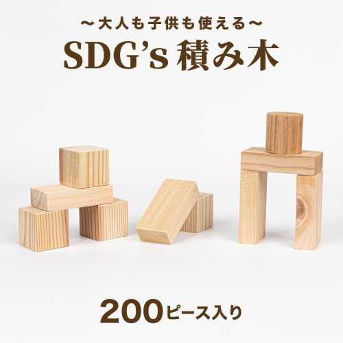 大人も子供も使えるSDG’ｓ積み木 2548978 - 福岡県篠栗町